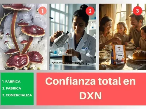 Infografía del proceso De la Granja a tu Taza de DXN, garantizando la confianza total en el producto